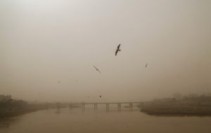 برای تعطیلی خوزستان در آلودگی هوا چگونه تصمیمگیری میشود؟ برای تعطیلی خوزستان در آلودگی هوا چگونه تصمیمگیری میشود؟