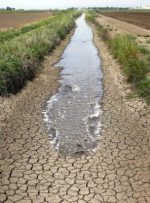 اتاق های اصناف کشاورزی، جلسه شورای مدیریت مشارکتی آب حوضه مارون را تحریم کردند