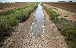 اتاق های اصناف کشاورزی، جلسه شورای مدیریت مشارکتی آب حوضه مارون را تحریم کردند اتاق های اصناف کشاورزی، جلسه شورای مدیریت مشارکتی آب حوضه مارون را تحریم کردند