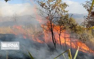 کوره غیرمجاز تولید زغال باعث آتش سوزی منابع طبیعی شد کوره غیرمجاز تولید زغال باعث آتش سوزی منابع طبیعی شد