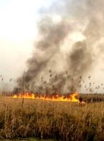 افزایش دود ناشی از آتش سوزی تالاب هور العظیم