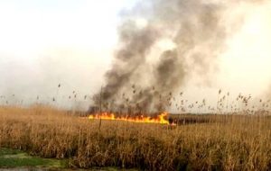 افزایش دود ناشی از آتش سوزی تالاب هور العظیم