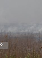 آتش سوزی در بخش عراقی تالاب هورالعظیم ادامه دارد