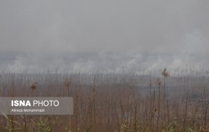 آتش سوزی در بخش عراقی تالاب هورالعظیم ادامه دارد آتش سوزی در بخش عراقی تالاب هورالعظیم ادامه دارد