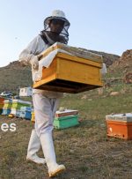 سرشماری زنبورستان های دزفول با هدف خدمت رسانی بهتر به زنبورداران در حال انجام است