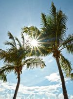 افزایش رطوبت در برخی نقاط خوزستان