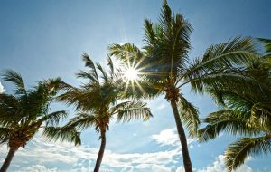 افزایش رطوبت در برخی نقاط خوزستان افزایش رطوبت در برخی نقاط خوزستان