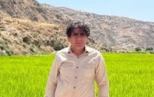 هزینه های تولید در بخش کشاورزی بالاست / توسعه مکانیزاسیون کشاورزی ضروری است