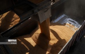 از سیلوهای ذخیره گندم به صورت منظم گندم به استان های نیازمند فرستاده می شود