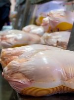 جلوگیری و برخورد با گران فروشان مرغ و گوشت گوسفندی در آبادان