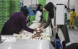 تعاونی ها نقش مهمی در ساختار اقتصادی کشور دارند تعاونی ها نقش مهمی در ساختار اقتصادی کشور دارند