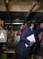 فروش گوشت فاسد در یک قصابی در اندیمشک