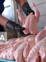 تشکیل شورای گفت و گو صنعت طیور جهت تعامل بین تولید کنندگان و توزیع کنندگان
